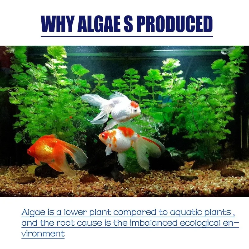 50g高効率藻類駆除剤、水槽・池の藻類・苔の抑制、緑水減少、 - Planted Aquarium Algae のレビューと価格