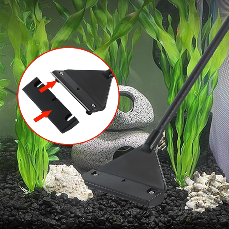 水槽用ステンレス鋼製藻類除去スクレーパーブレード、水生植物用 - Planted Aquarium Algae のレビューと価格