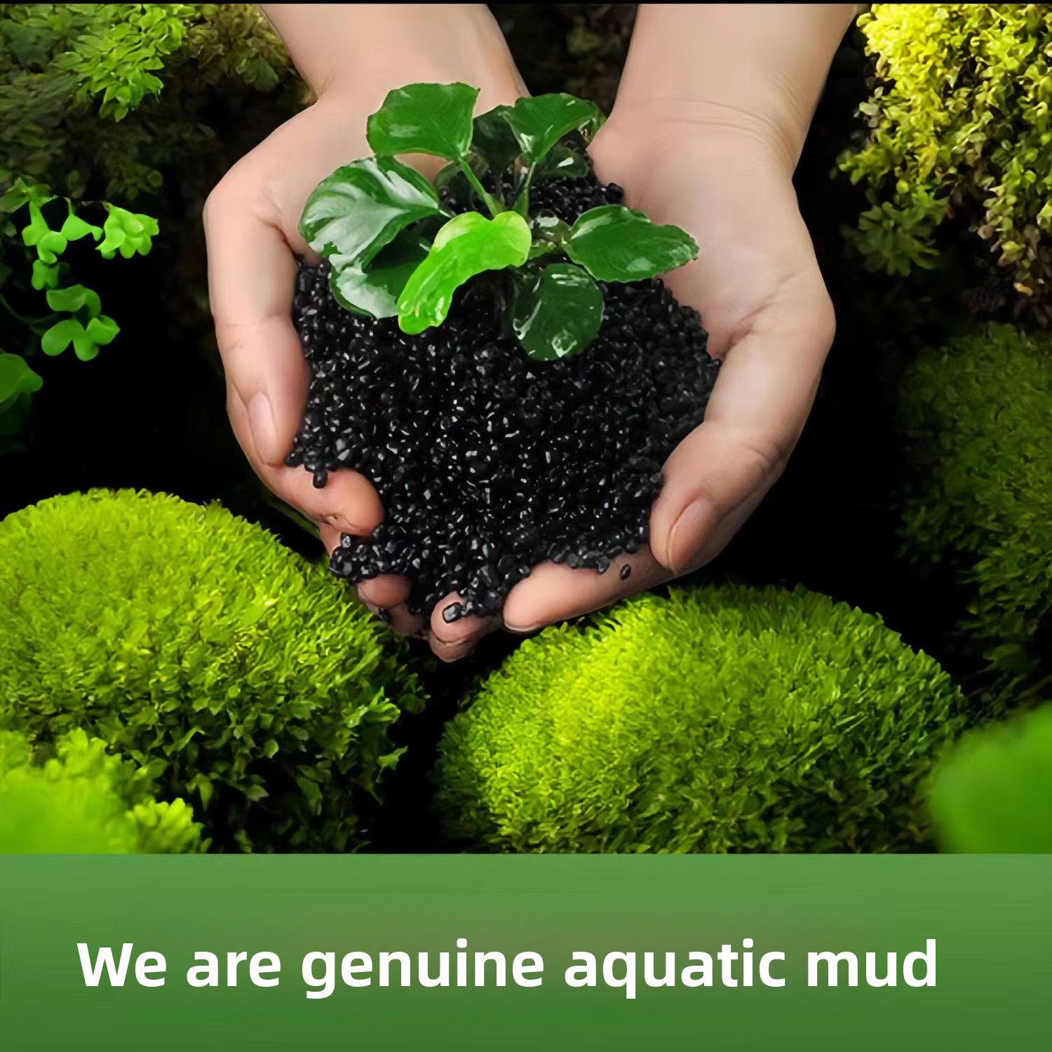 セラミック不使用の水生植物用土、水槽装飾用砂、黒色の粘土。水 - Aquarium Planted Sand のレビューと価格