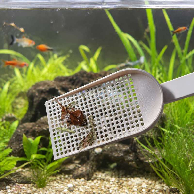 水槽用ゴミ取りネット、細かい網目、水草清掃ツール、毎日の水槽 - Aquarium Plant Utensils のレビューと価格