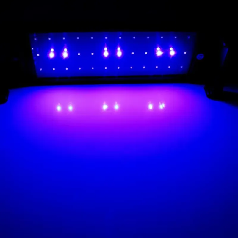 GAKO 11W ZJL-60A 人気商品 お手頃価格 水草 - Planted Aquarium Competition のレビューと価格