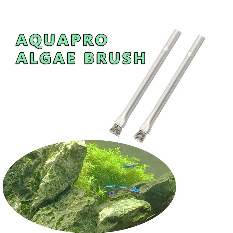 透明な吊り下げ式水槽植物ホルダー、水槽への取り付けが簡単、水 - Aquarium Plant Easy To Grow のレビューと価格