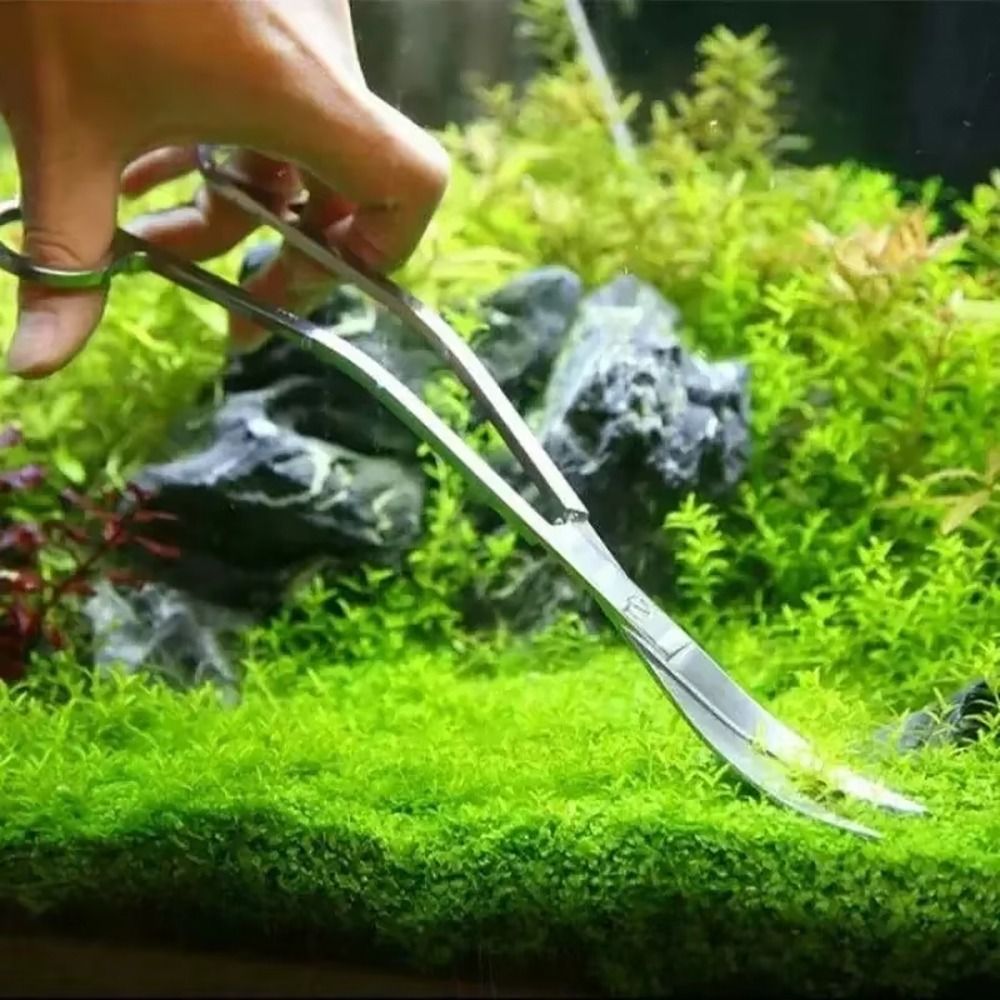 1個入り ステンレス製水槽用ハサミ 直線・曲線兼用 25cm - Aquarium Plant Utensils のレビューと価格