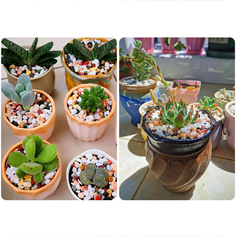 水槽底砂 DIY アクセサリー 200 〜 1000 グラム - Aquarium Planted Sand のレビューと価格