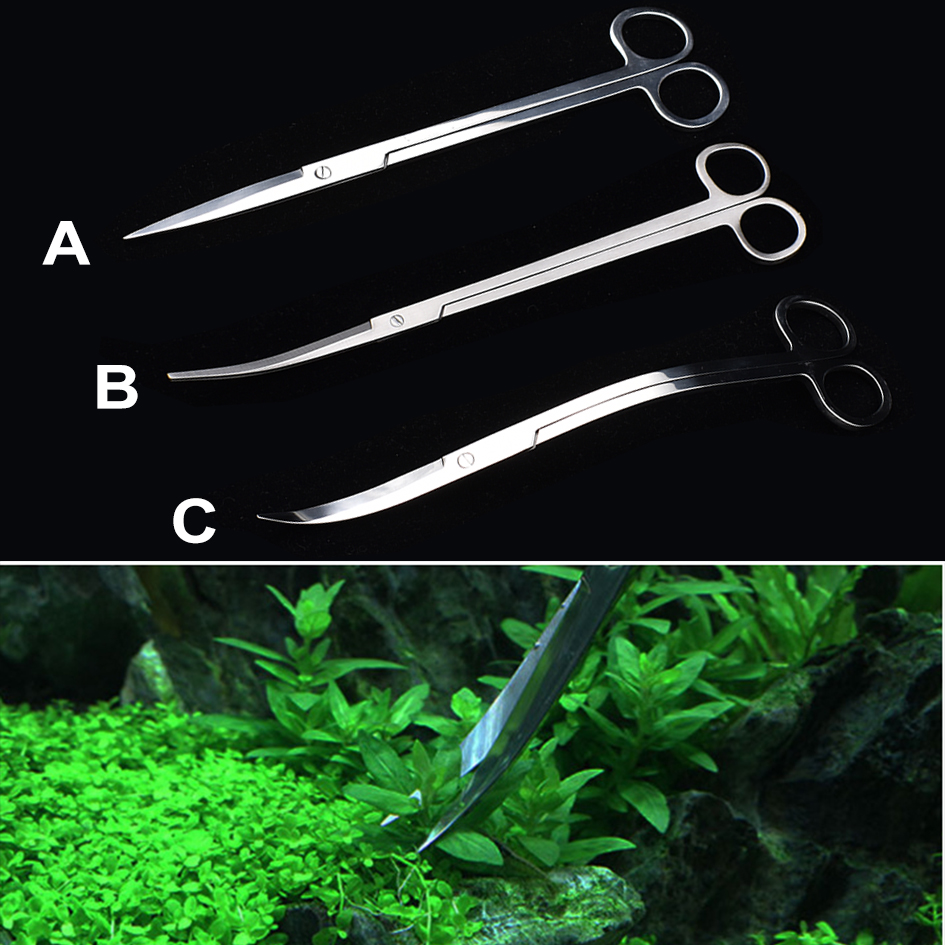25 センチメートルステンレス鋼水族館はさみ水水生植物藻類海 - Planted Aquarium Algae のレビューと価格