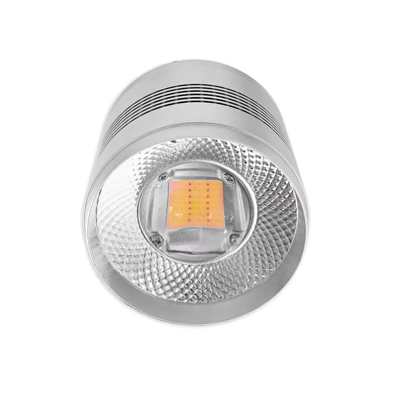 70W LED水槽ライト フルスペクトル 淡水水草水槽 藻類 - Planted Aquarium Algae のレビューと価格