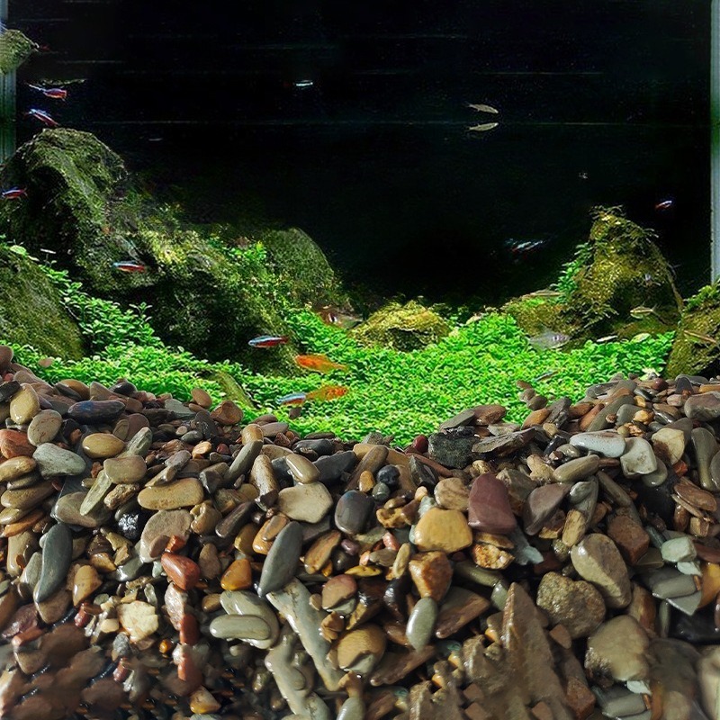 ストリームペブルズ水槽底砂 ネイティブアクアスケープ装飾 水 - Aquarium Planted Sand のレビューと価格