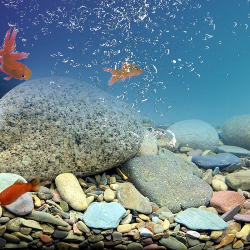 ストリームペブルズ水槽底砂 ネイティブアクアスケープ装飾 水 - Aquarium Planted Sand のレビューと価格