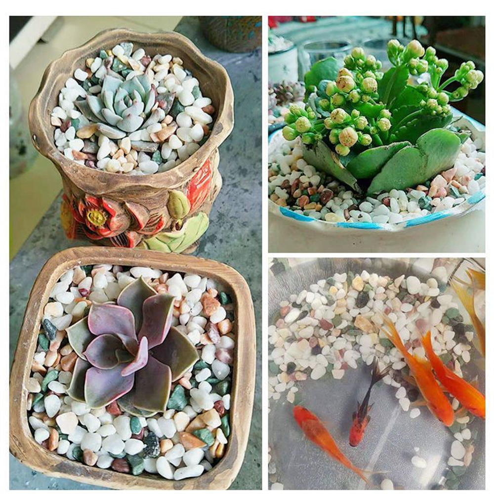100g 天然水晶砂利石 マイクロランドスケープ ガーデン  - Aquarium Planted Sand のレビューと価格