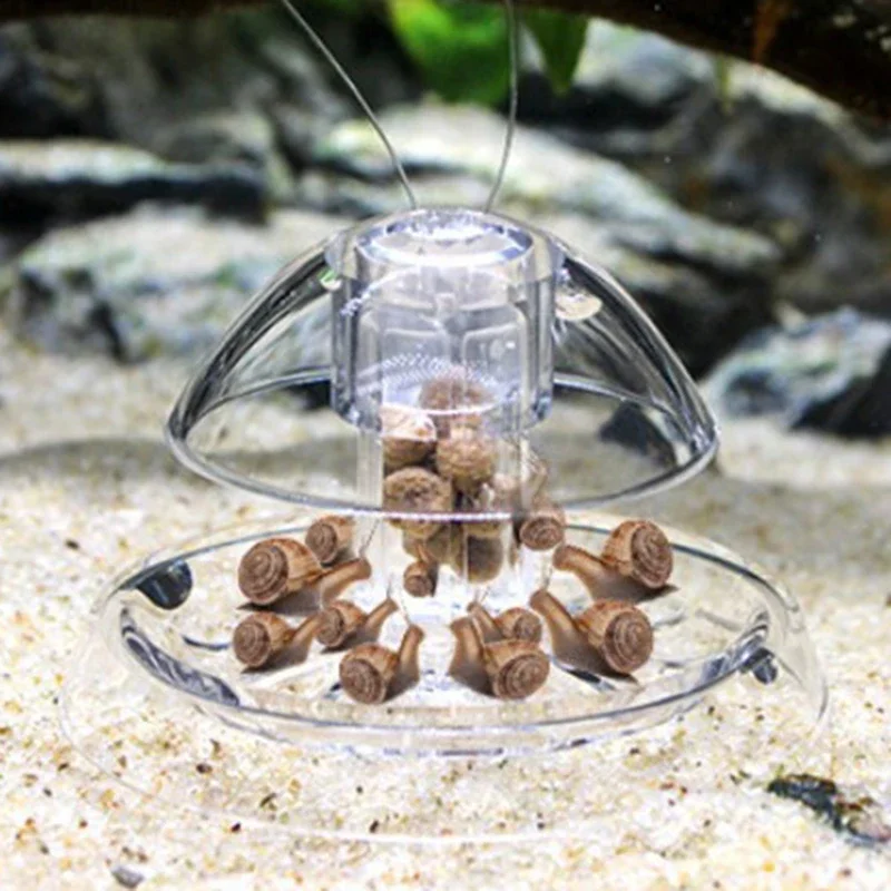 1個入り水槽クリーナー、カタツムリ捕獲器、プランナリア駆除用 - Aquarium Plant Utensils のレビューと価格
