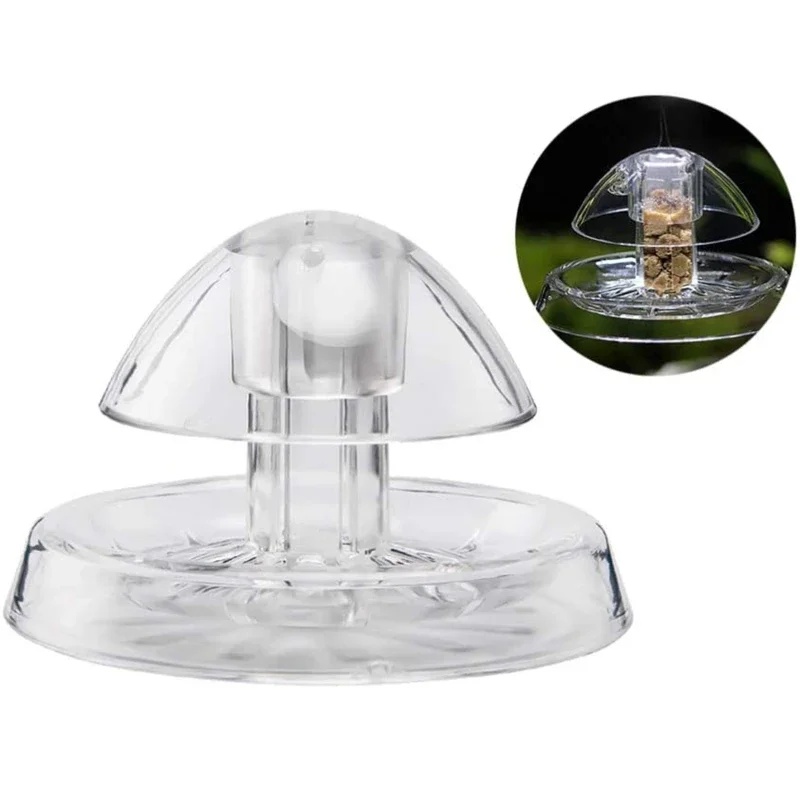 1個入り水槽クリーナー、カタツムリ捕獲器、プランナリア駆除用 - Aquarium Plant Utensils のレビューと価格