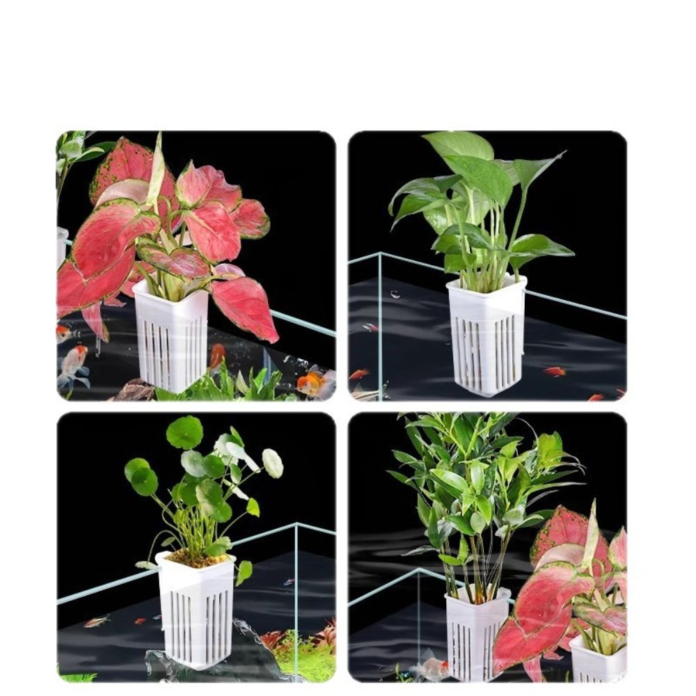 プラスチック製水槽用植物バスケット、スリット付き排水口、吊り - Aquarium Plant Easy To Grow のレビューと価格
